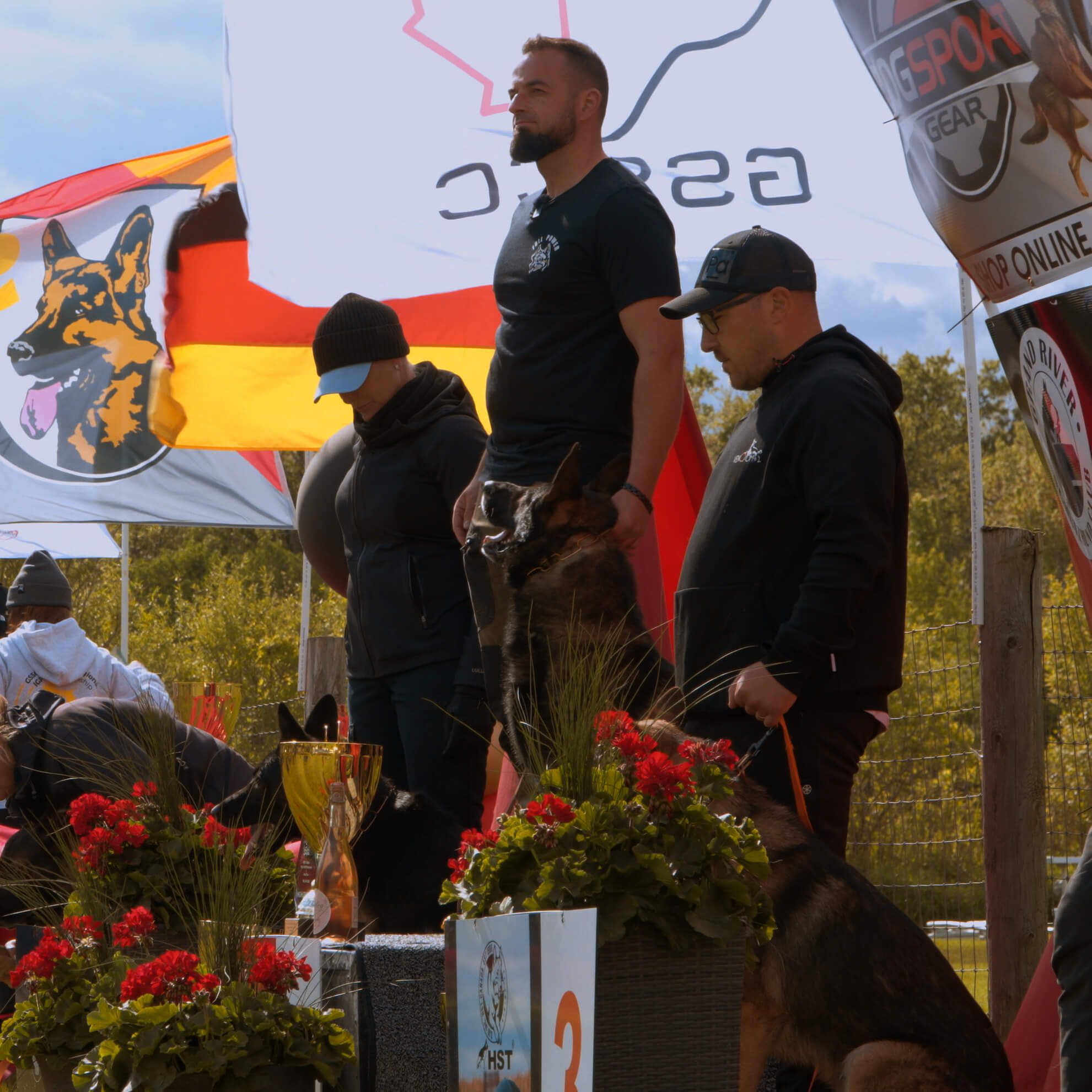 Chico vom Marchberger IGP 3 Canadian National Champion - Image 3