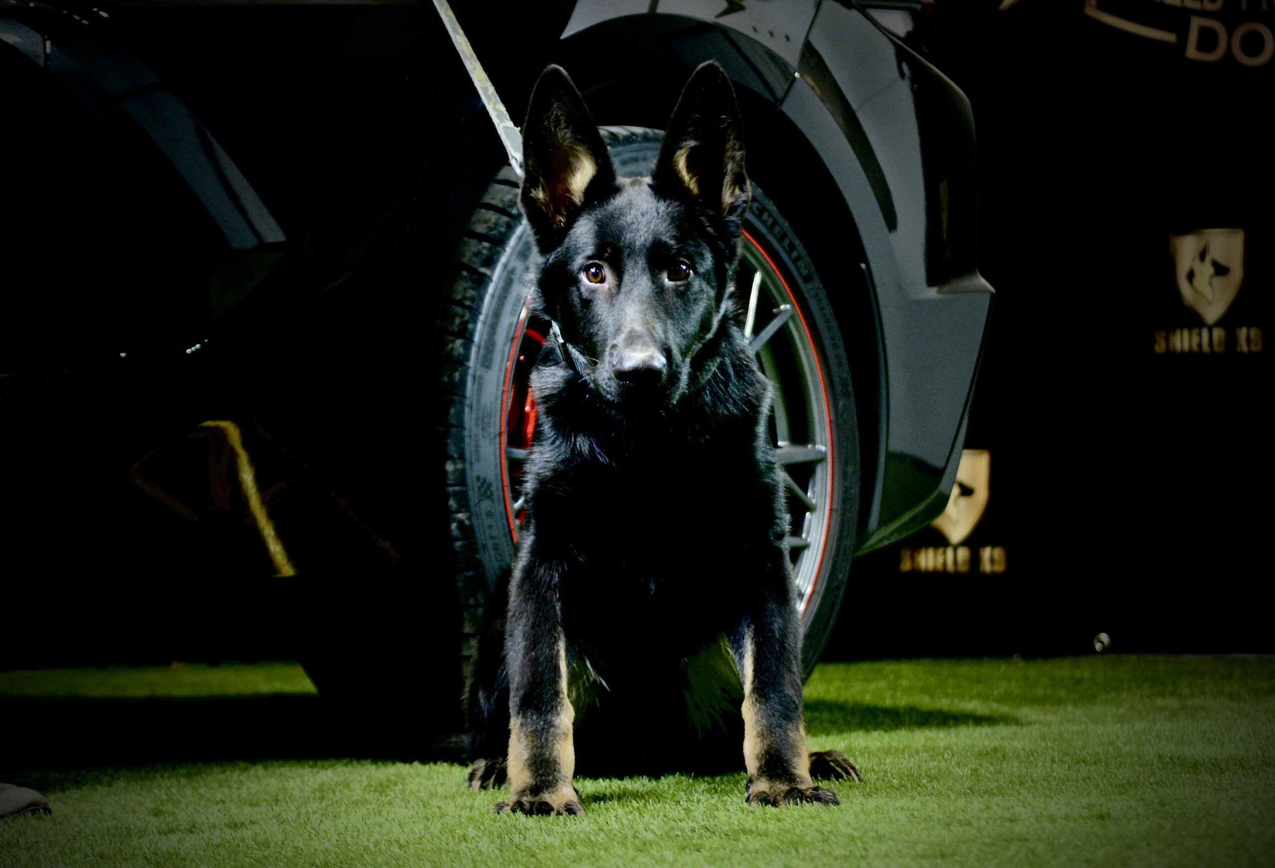 Hammer vom Shield - Image 5