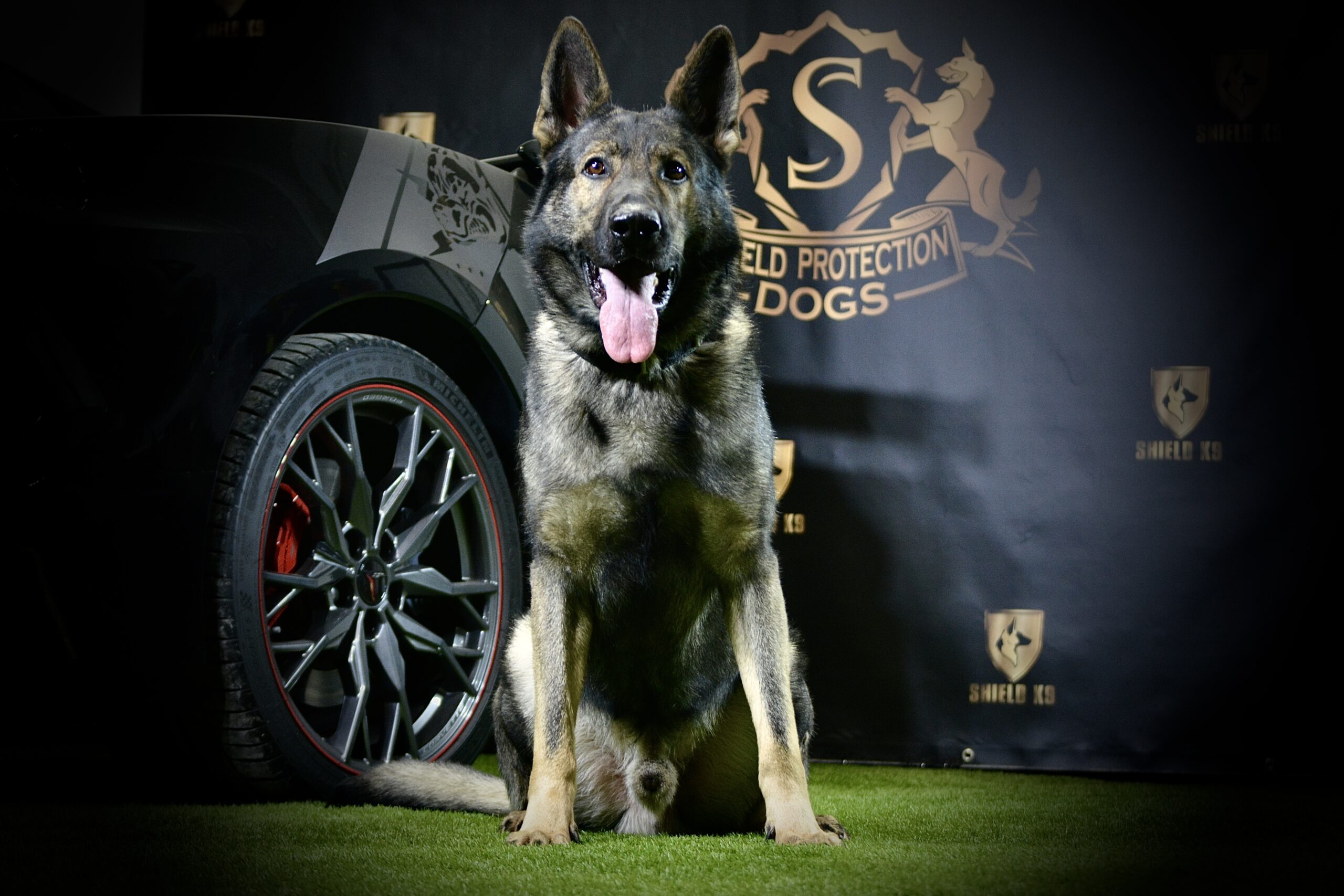K9 Insaaf - Family Protector - Image 2