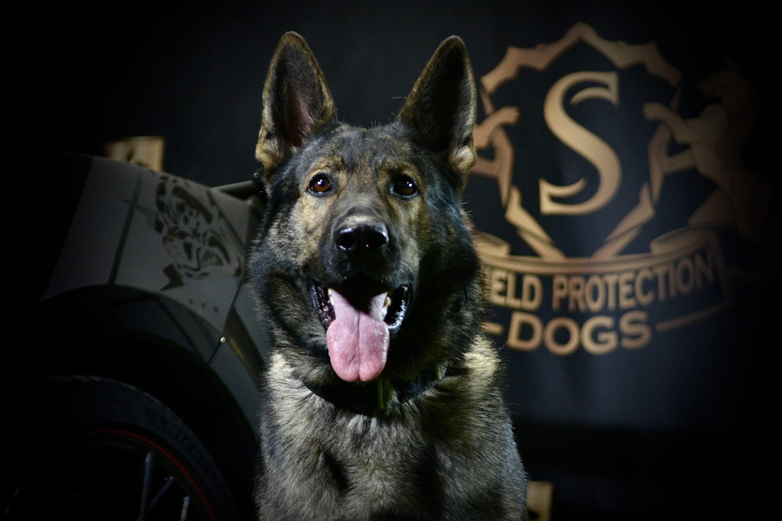K9 Insaaf - Family Protector