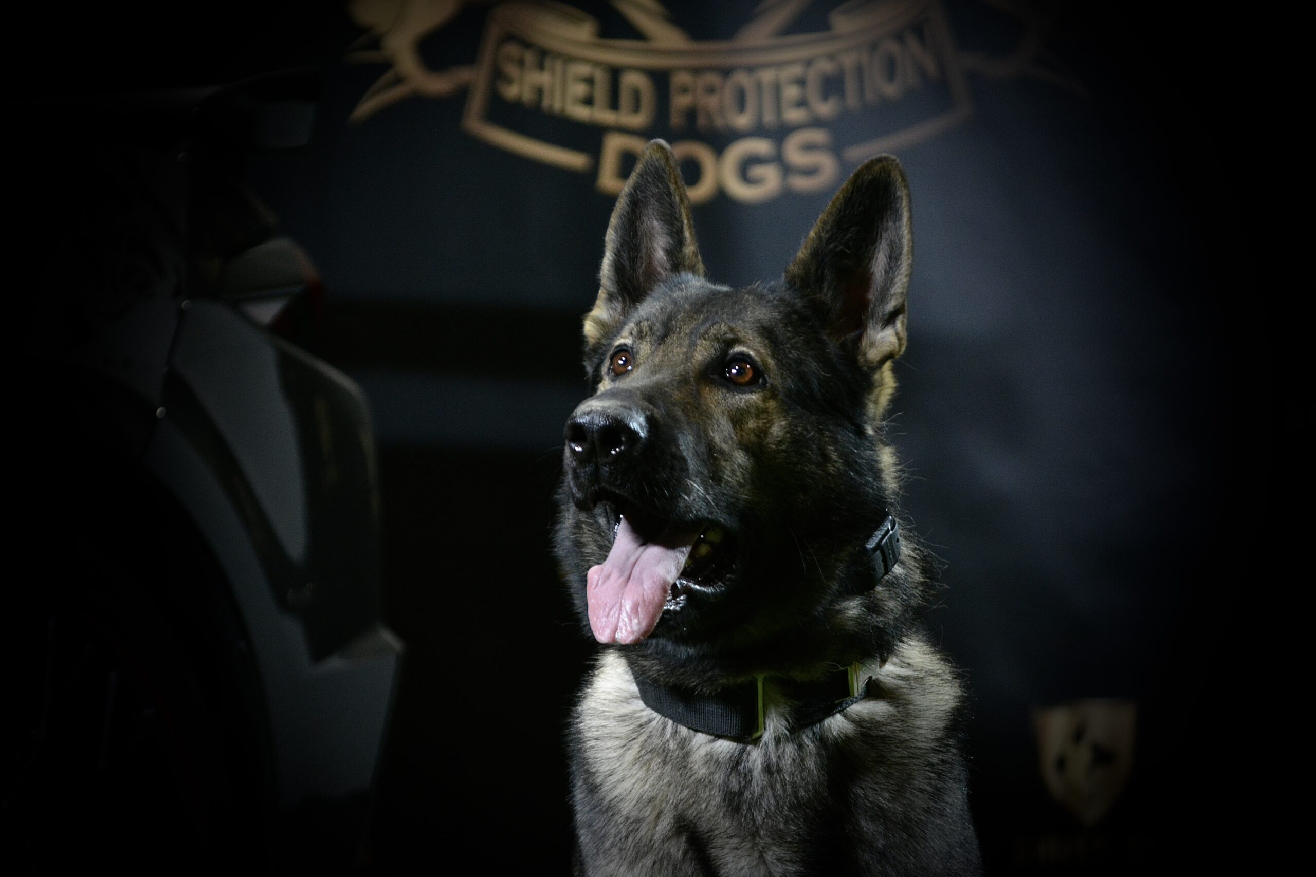 K9 Insaaf - Family Protector - Image 5