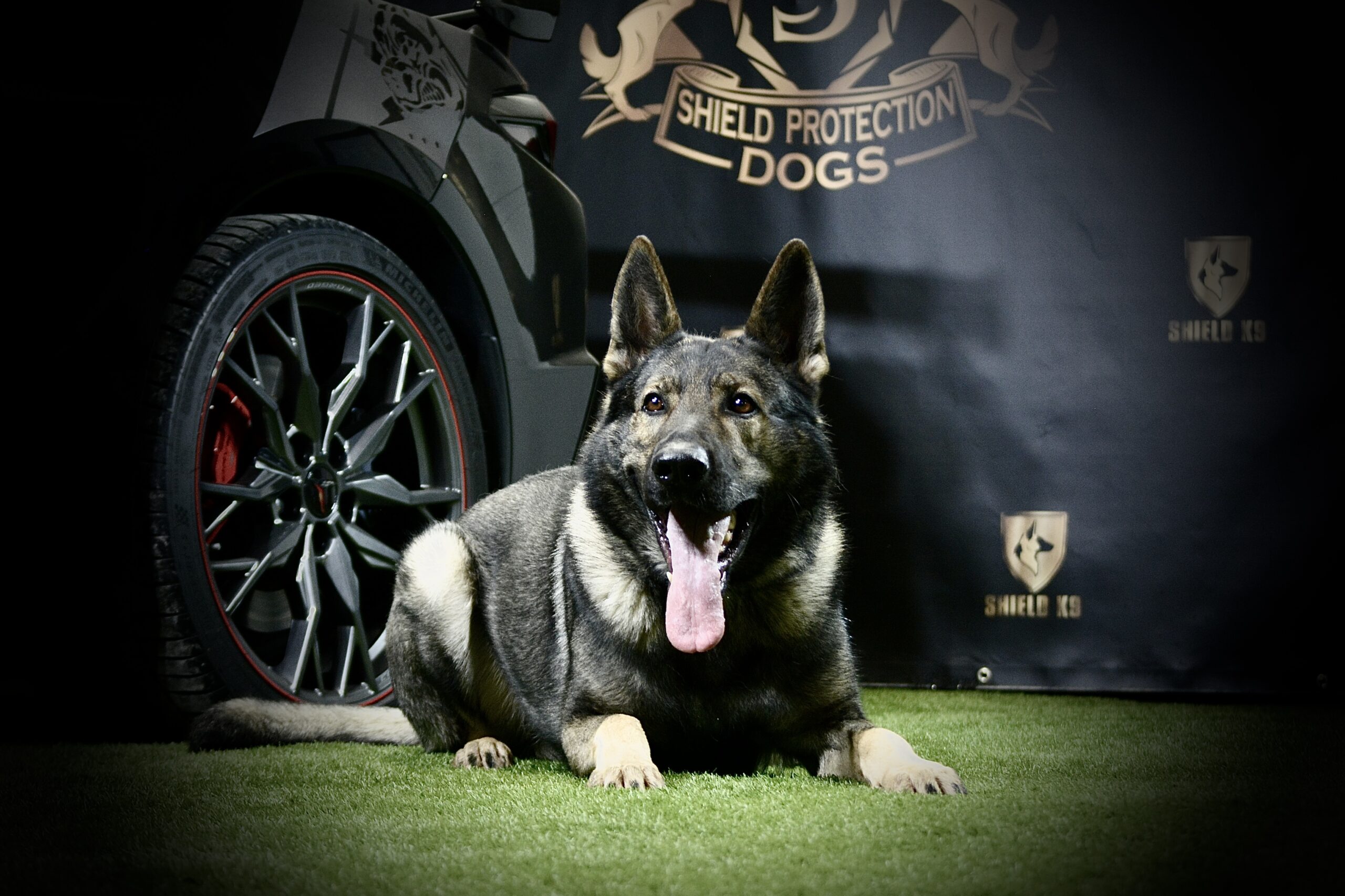 K9 Insaaf - Family Protector - Image 8